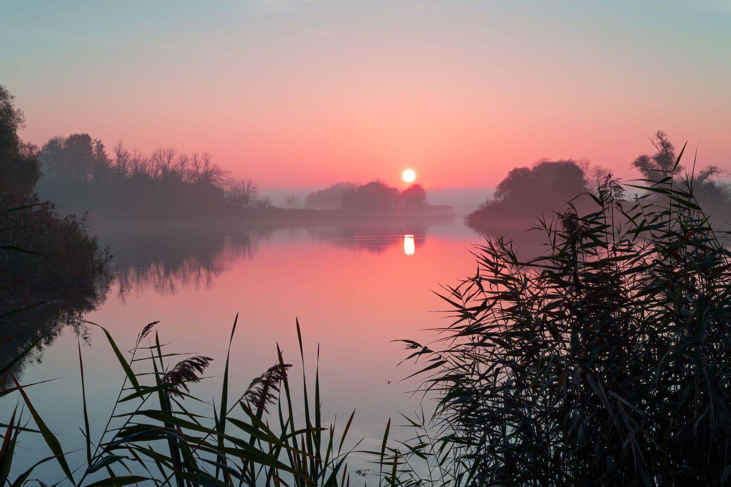 туман закат, Алексей Рыльский
