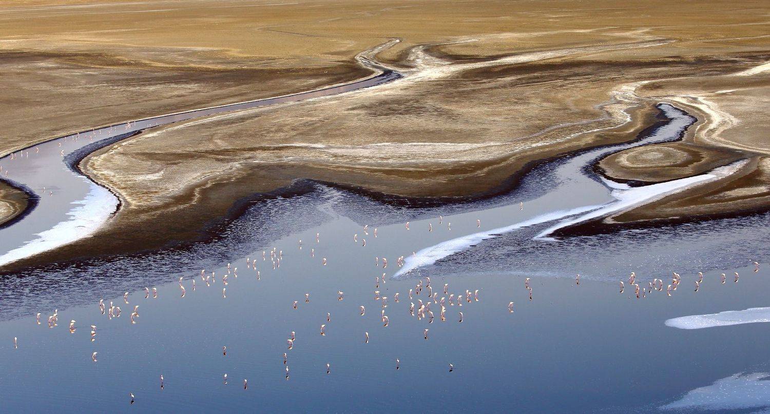 , Андрей Гудков