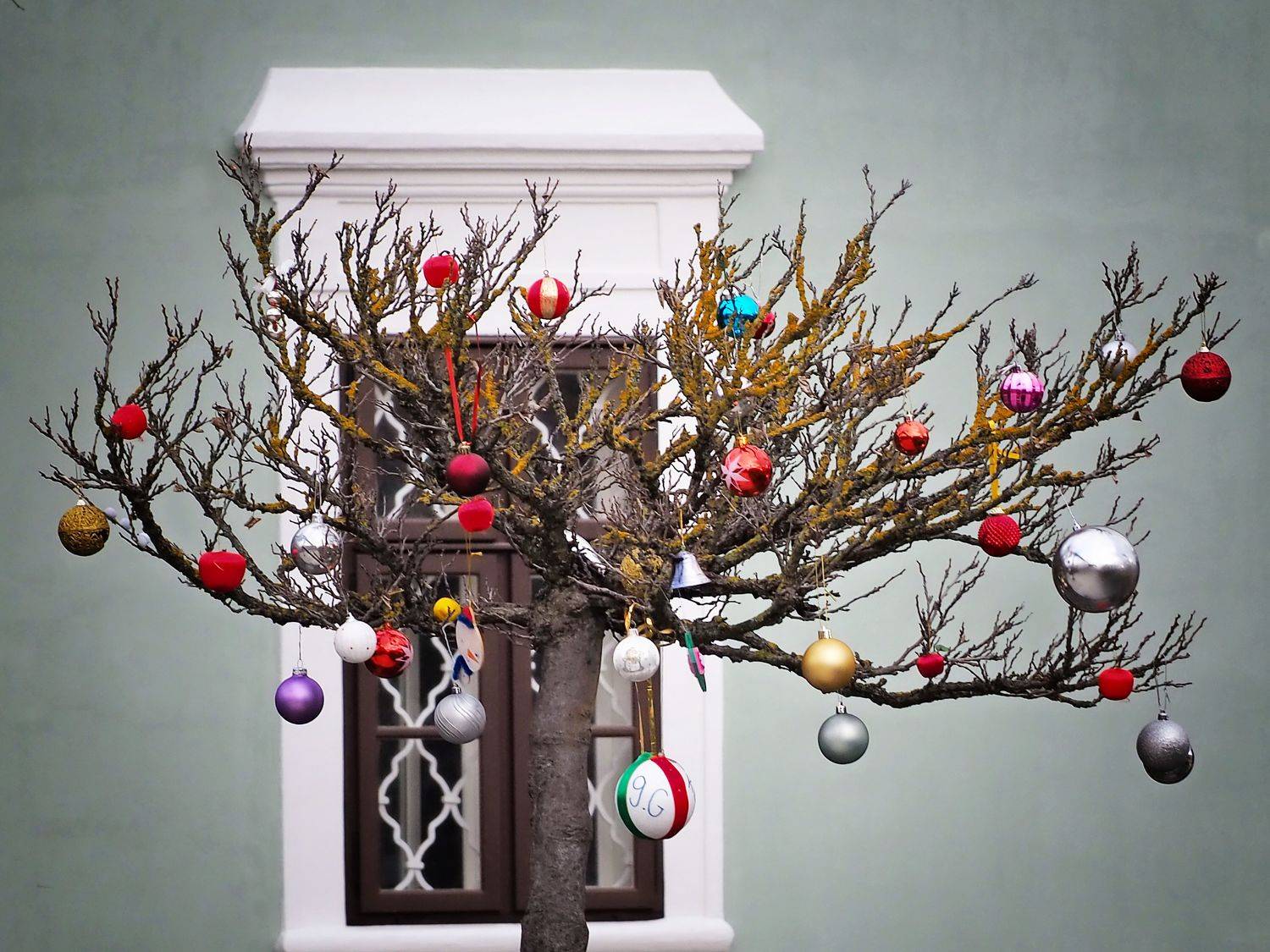 Christmas tree. Автор: Adrian Eperjessy , Adrian Eperjessy