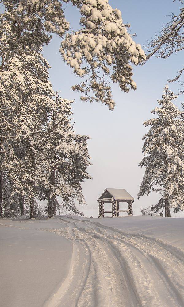 , Алексей Шуплецов