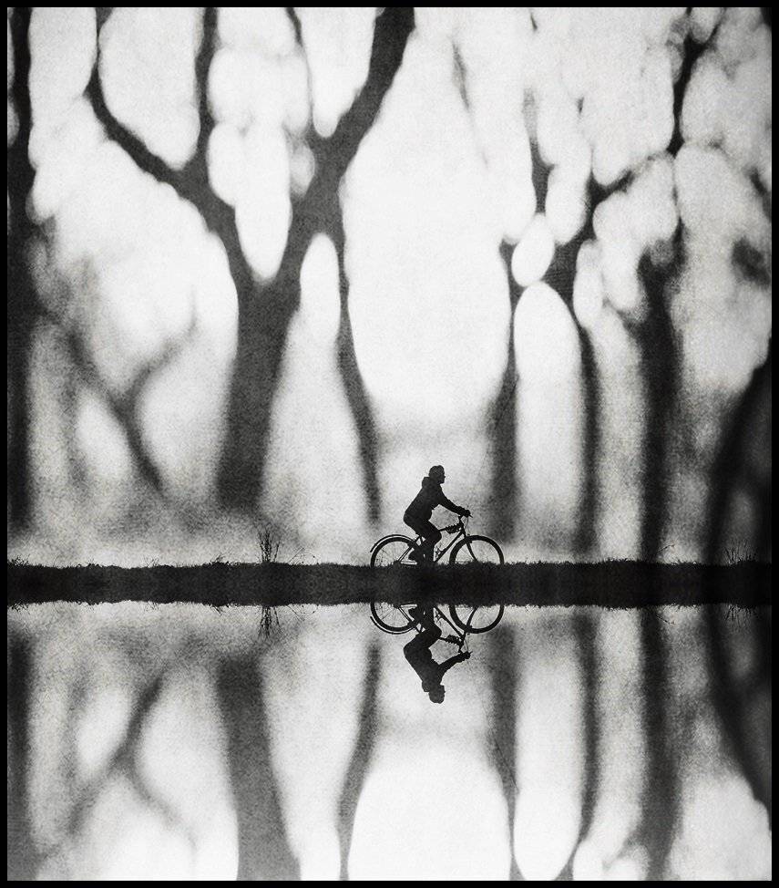 , Krzysztof Trojanowski