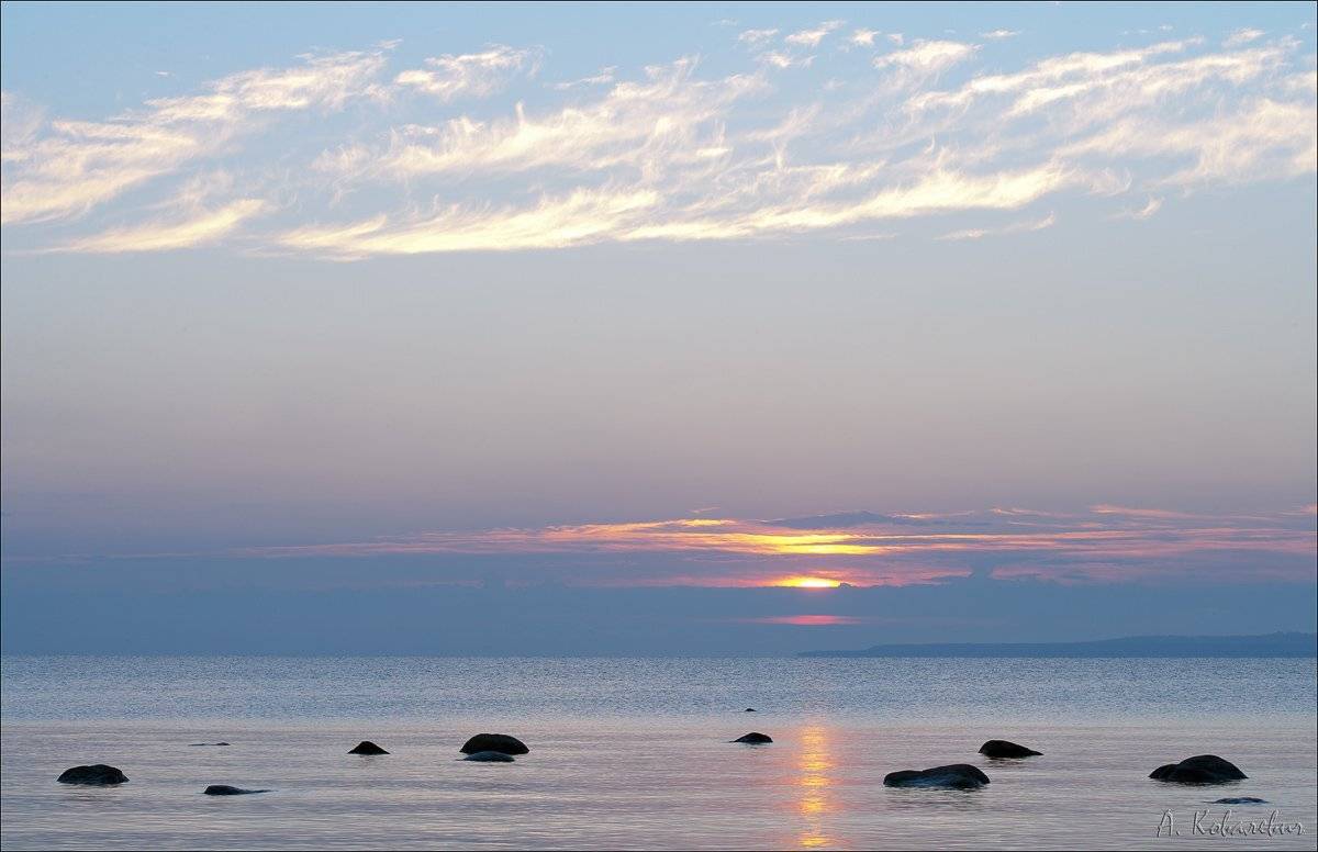 , Ковалевич А.