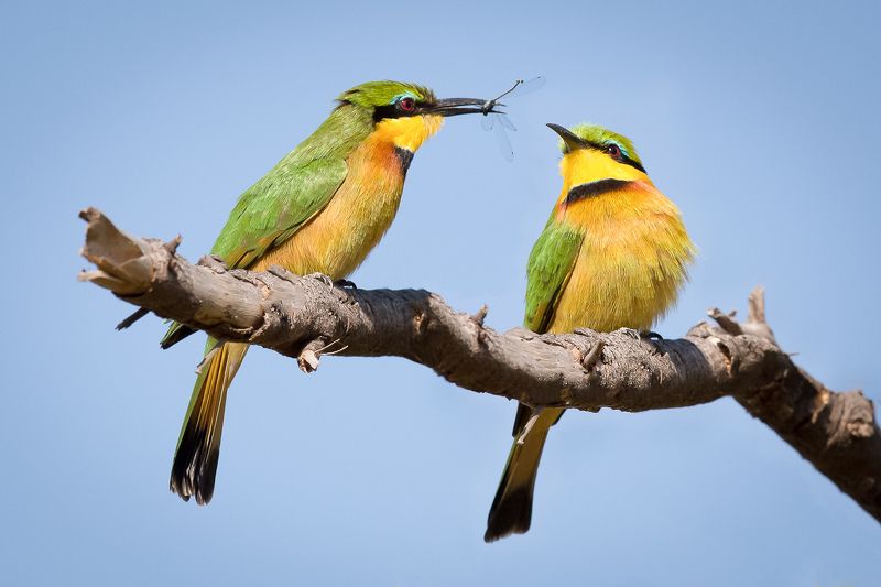 у меня тоже есть... фото превью