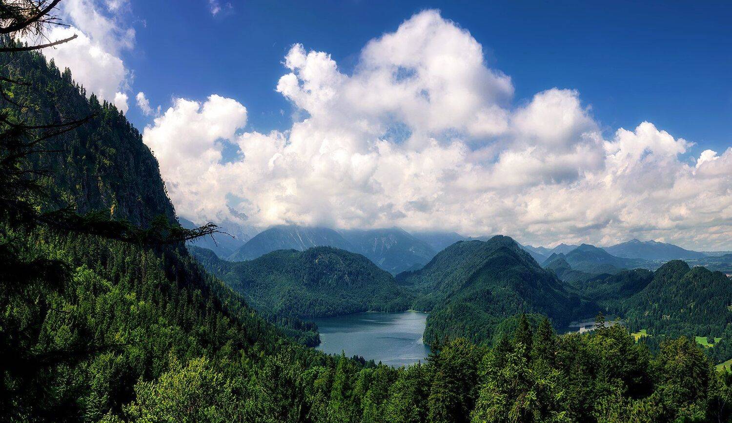 , Игорь Мелекесцев