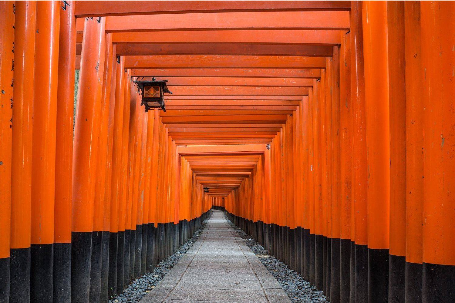 япония, Алексей Сулоев