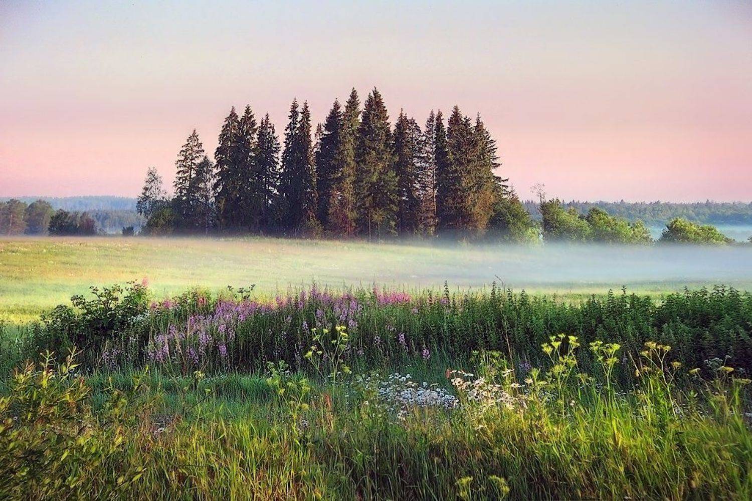 , Аркадий Усиков