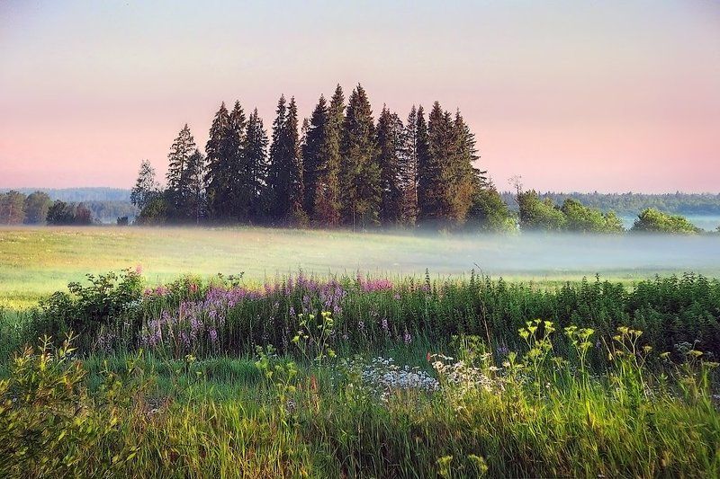 Реки молочные... фото превью