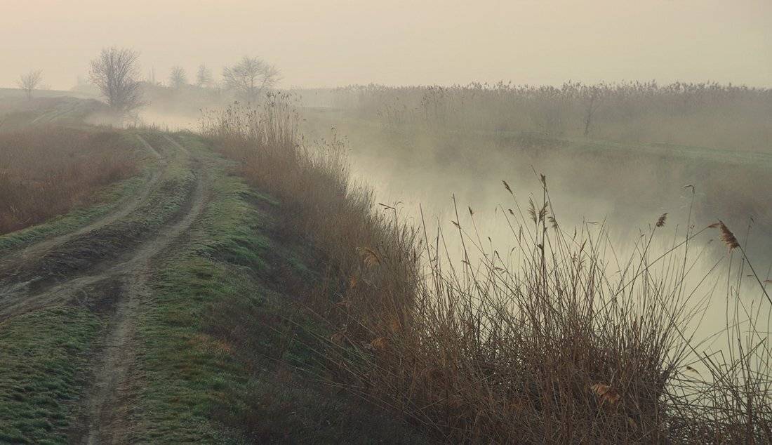 , Сидоренко Алексей