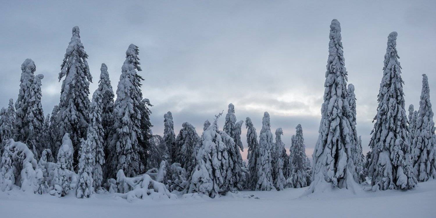 , Кочергин Дмитрий