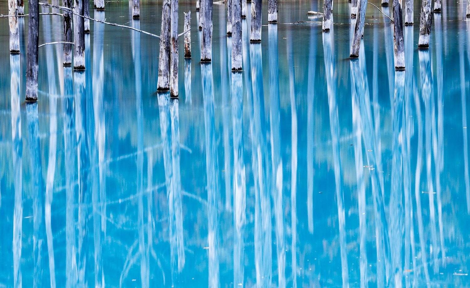 Blue Pond, Hokkaido, Japan, Алексей Сулоев