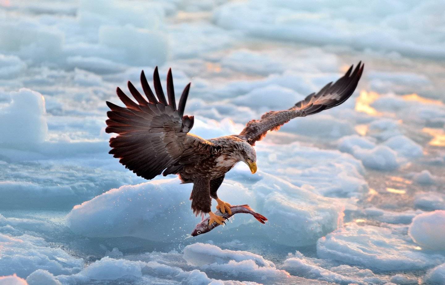 Erne, FEED, KIM SUK EUN