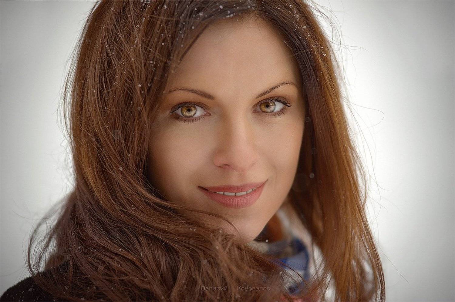 , Валерий Коновалов