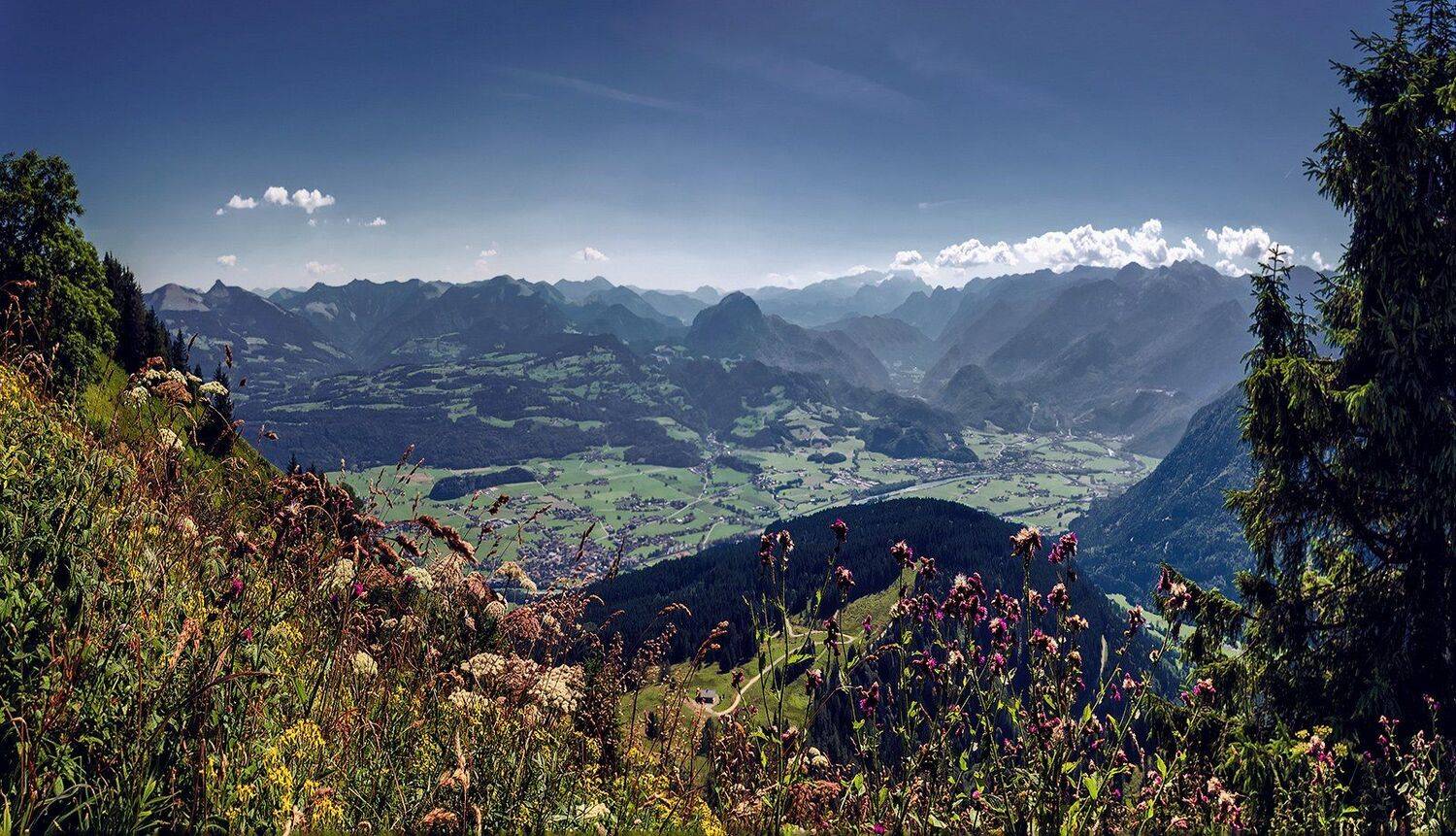 , Игорь Мелекесцев