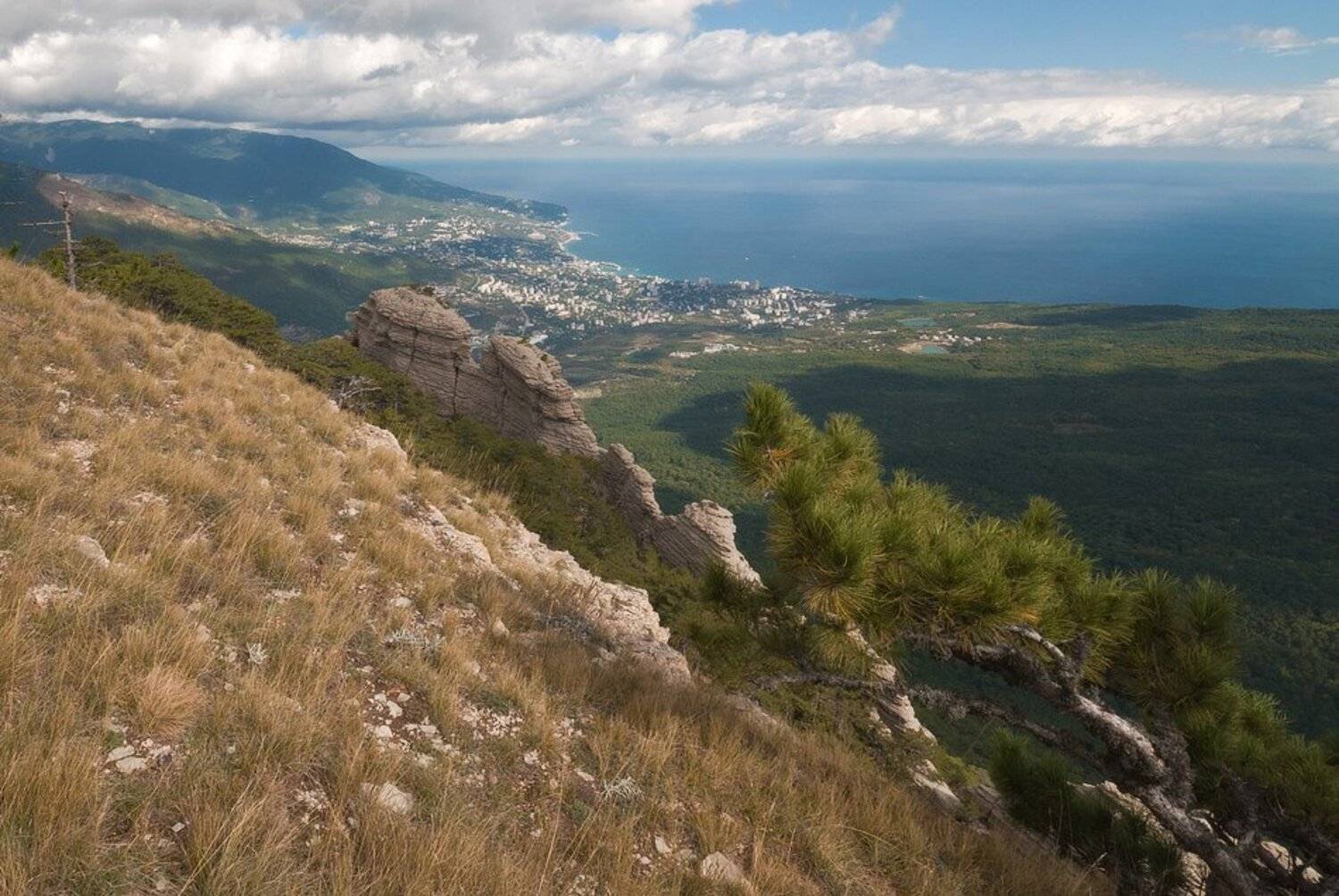 , Саша  Вайсберг / Waldschnepfe /