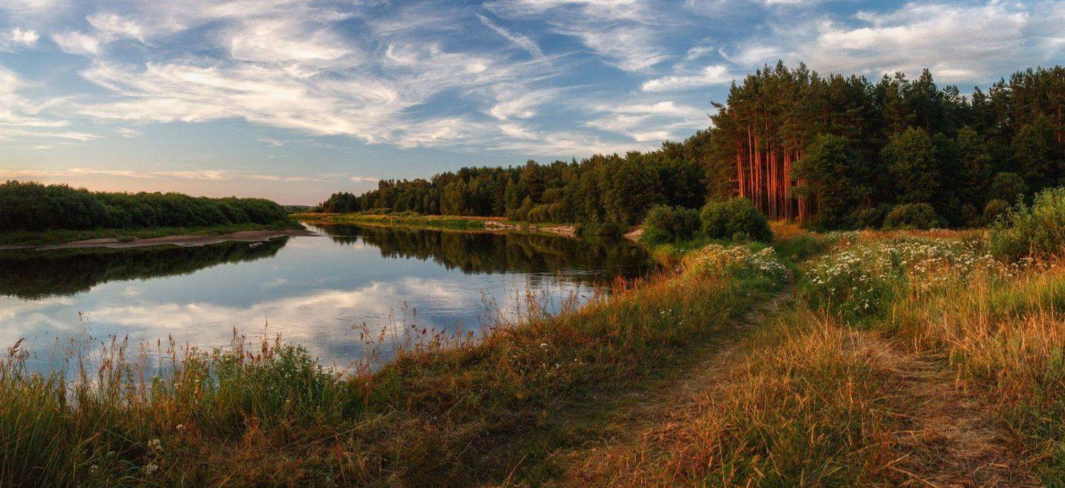 , Михаил Кушнер