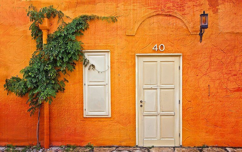 Bromis фото превью