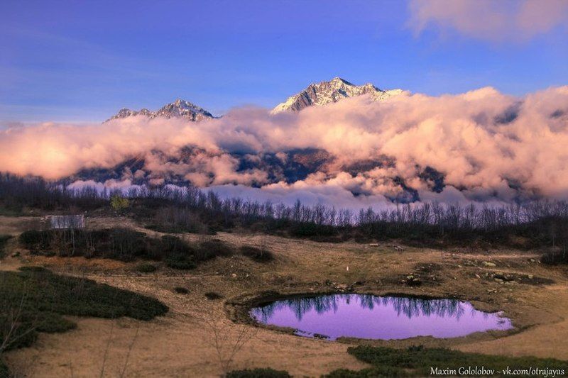 Сны Чугуша.. фото превью