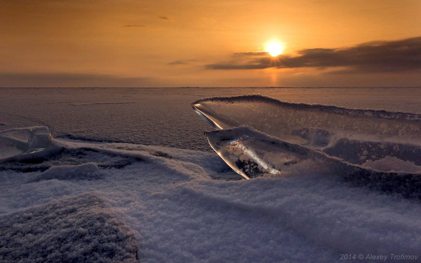 , Алексей Трофимов