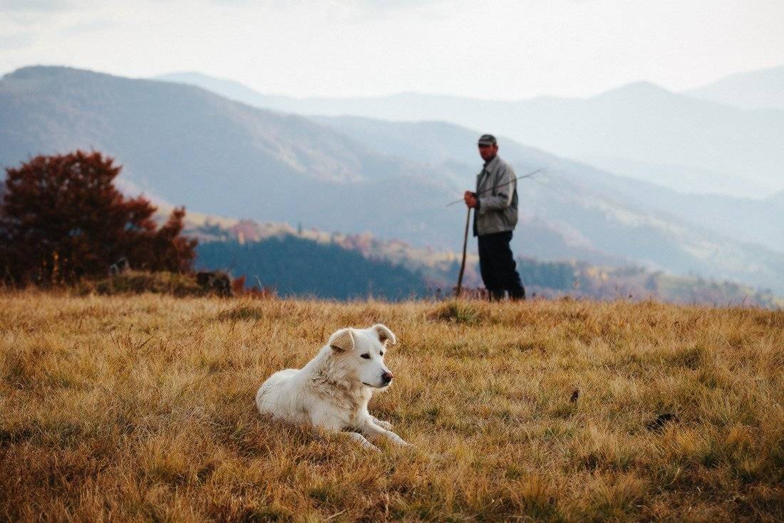 , Ярослав Тюрменко (Jaremi)