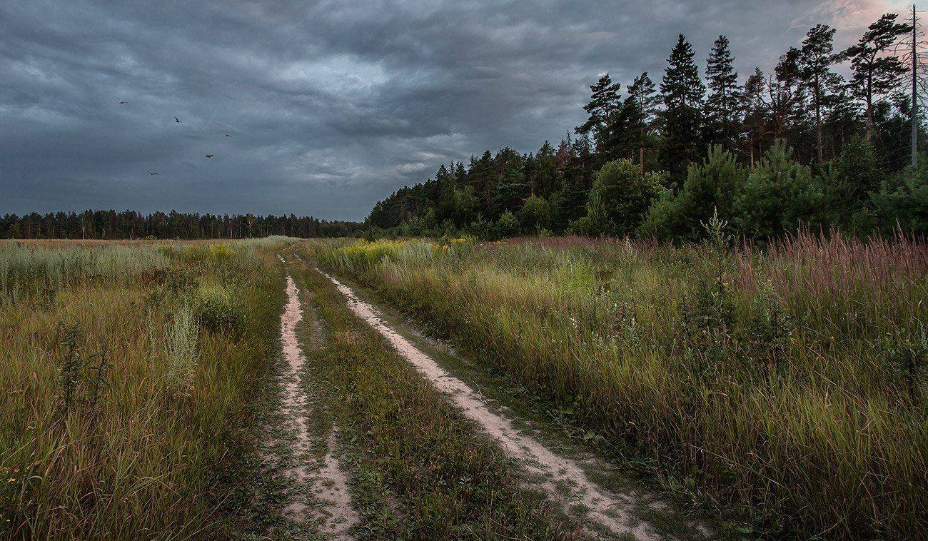 купавна., подмосковье, Андрей Леонидович