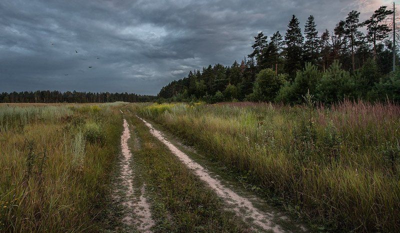 купавна., подмосковье На поздней окраине фото превью
