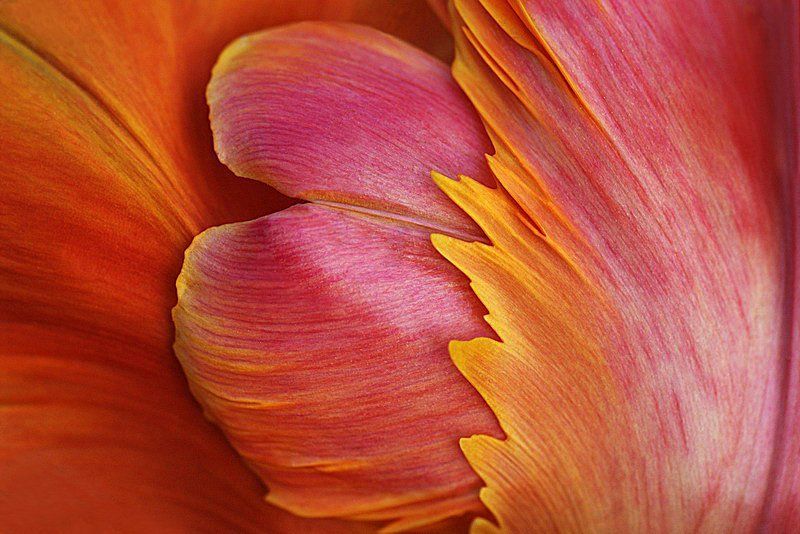 Art of art art of life.. фото превью