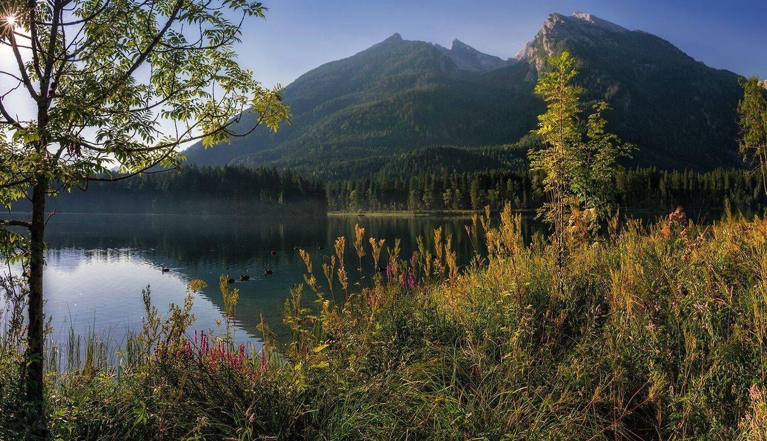 , Игорь Мелекесцев