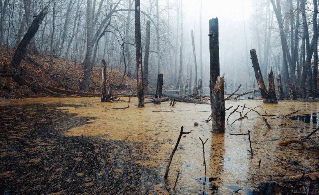 , Ярослав Тюрменко (Jaremi)