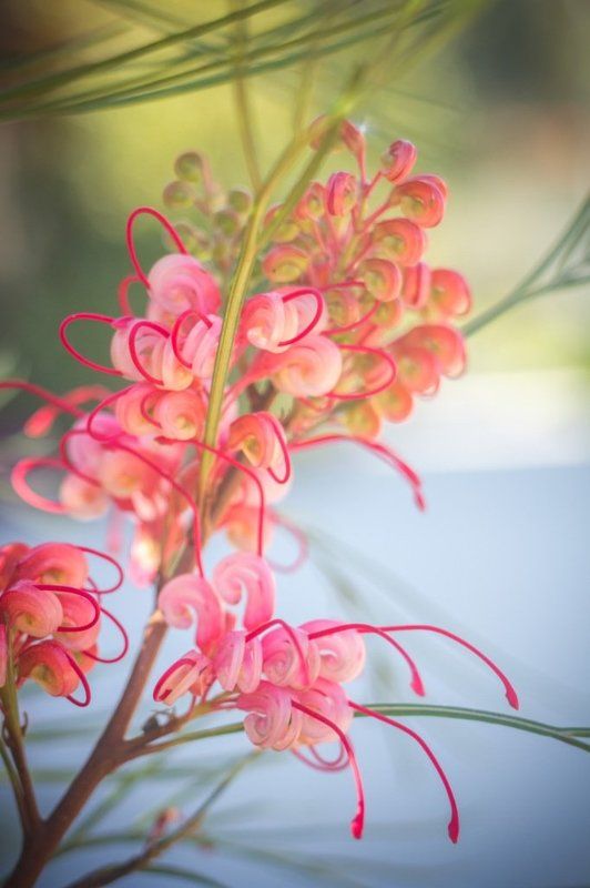 На рассвете. фото превью