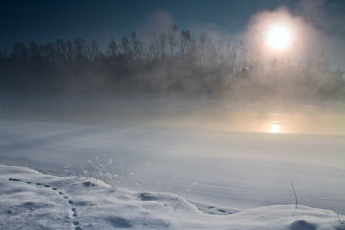 , Николай Морский