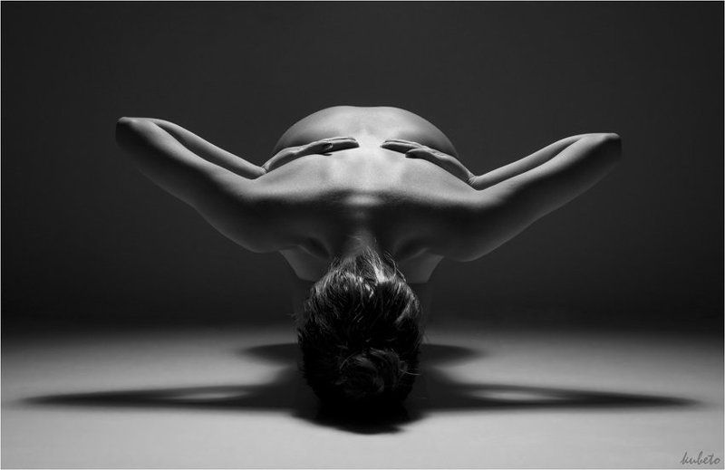 Symmetry фото превью