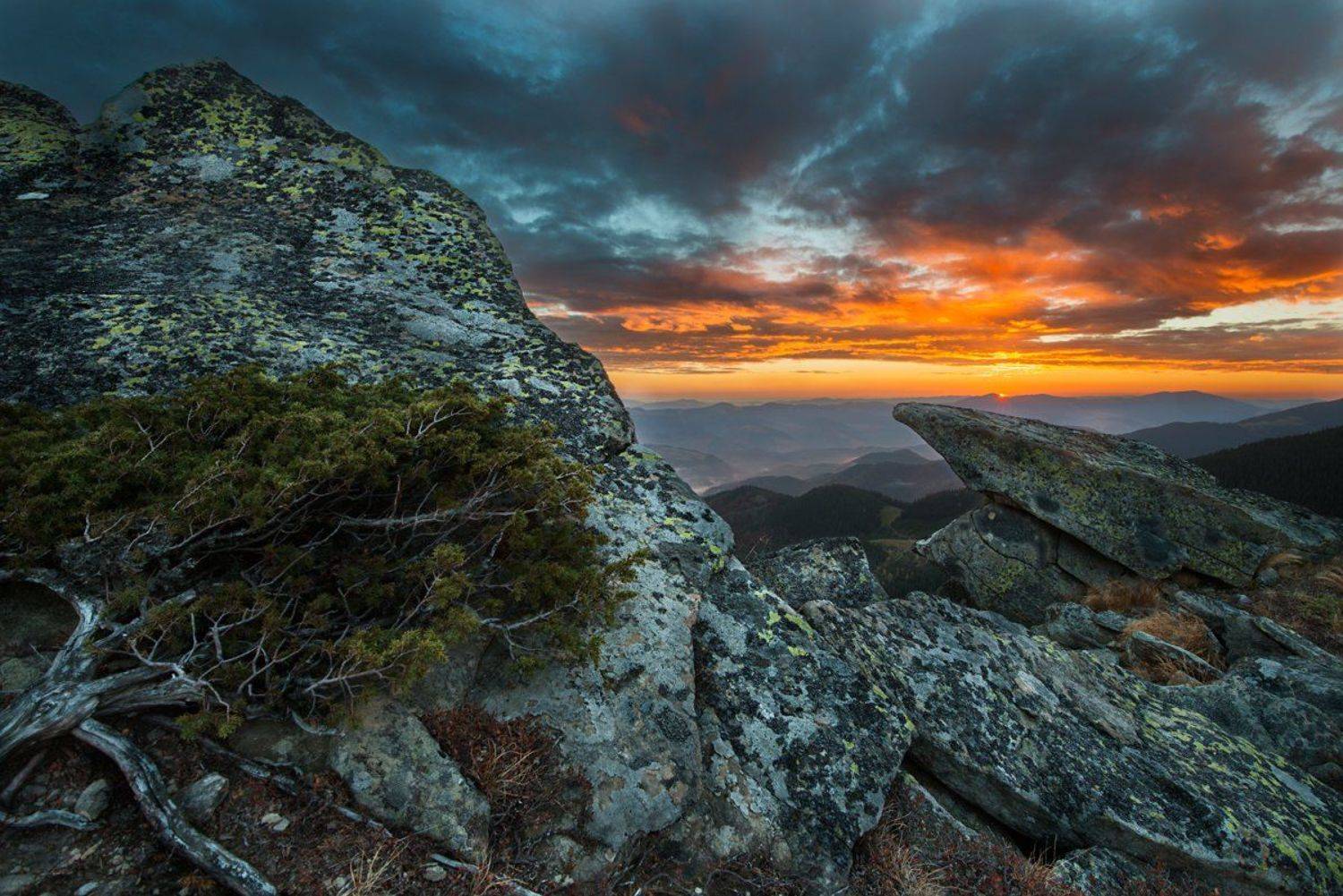 , Олег Бойко