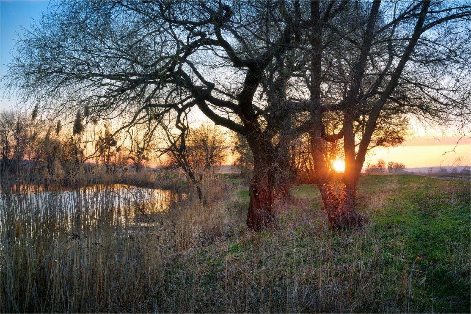 , Александр Киценко