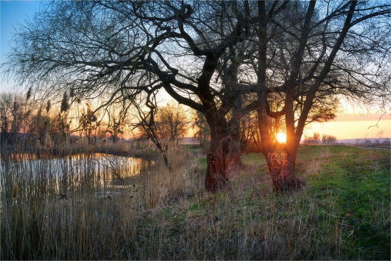 Март... фото превью