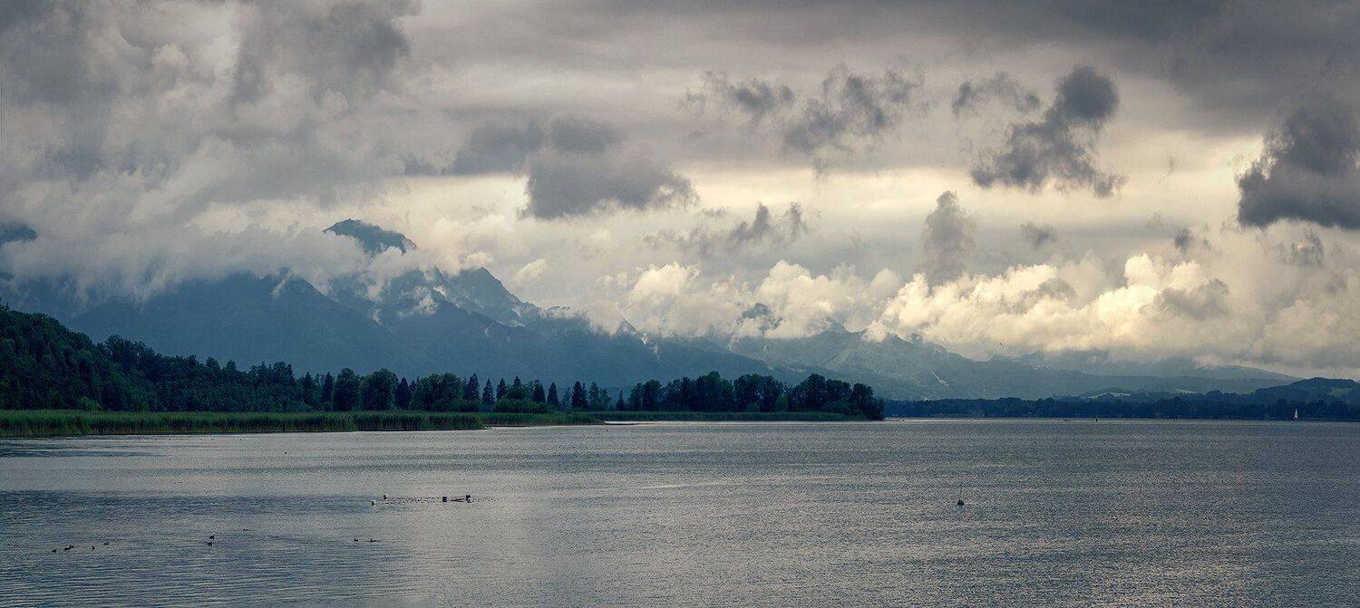 , Игорь Мелекесцев