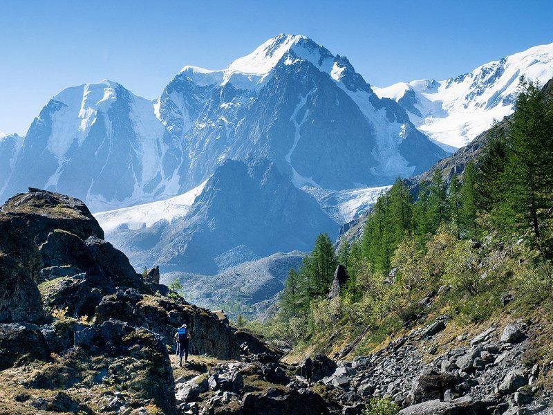 Воронцов Алексей фото превью