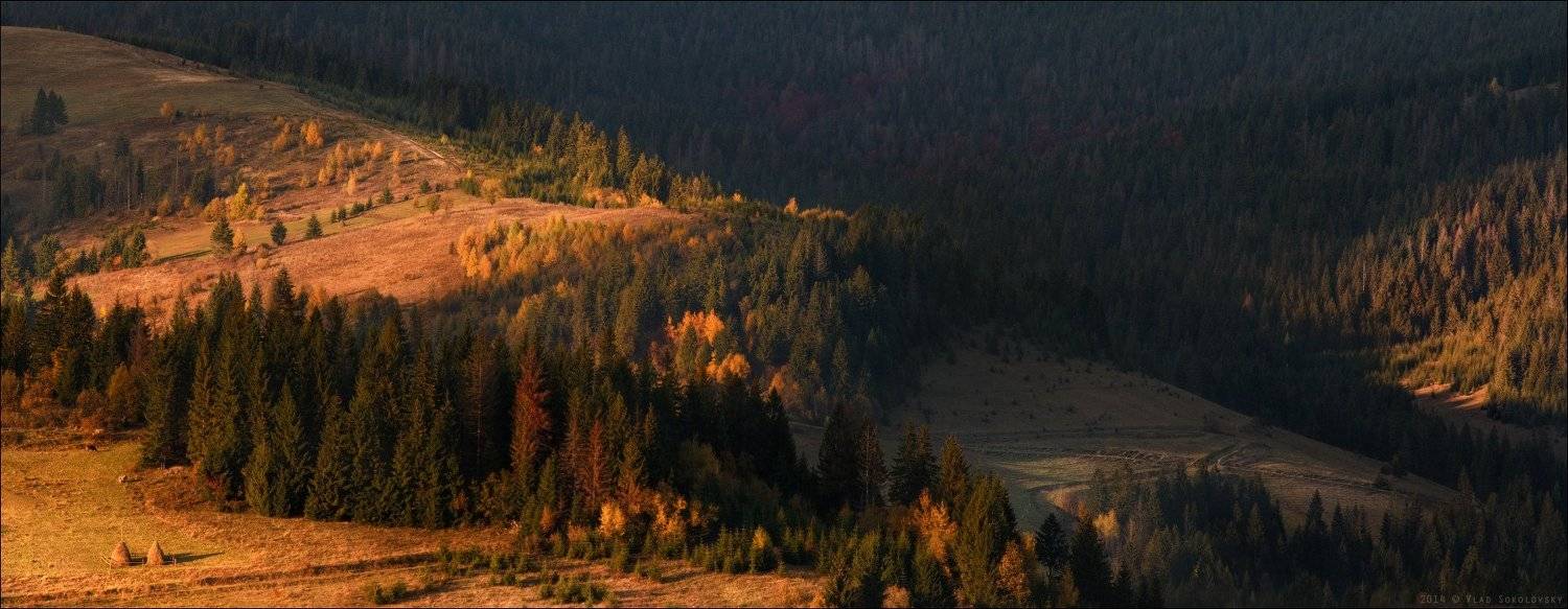 , Влад Соколовский