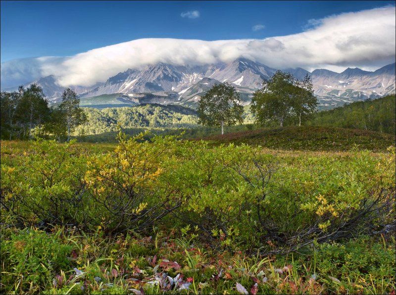 Камчатская тундра. фото превью