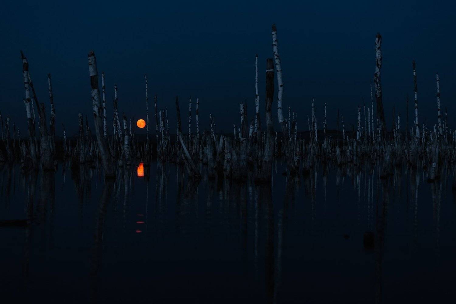 Болото, Луна, Полнолуние, marateaman