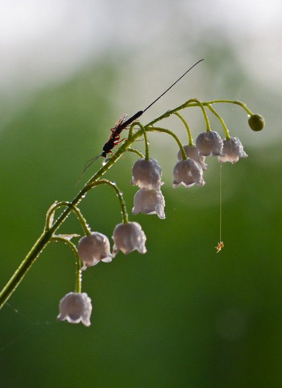 Агент 007 фото превью