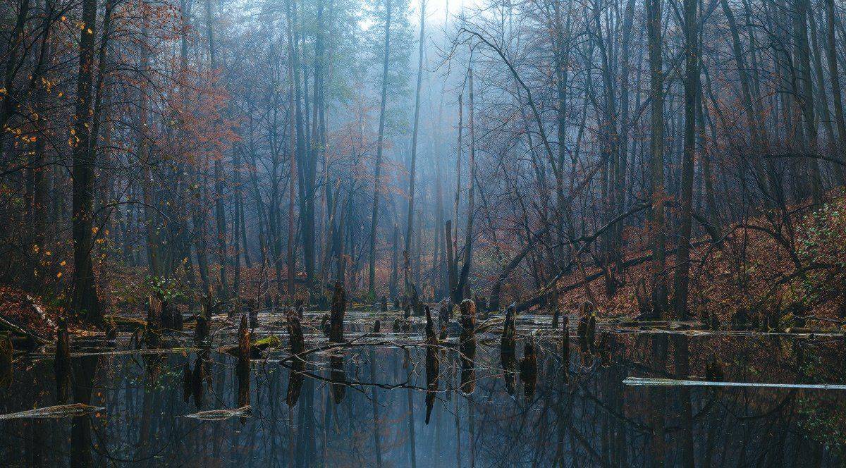 , Ярослав Тюрменко (Jaremi)