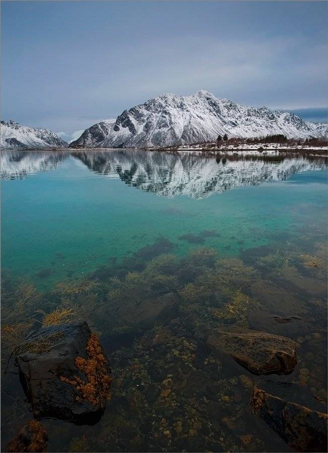 , Алексеевич