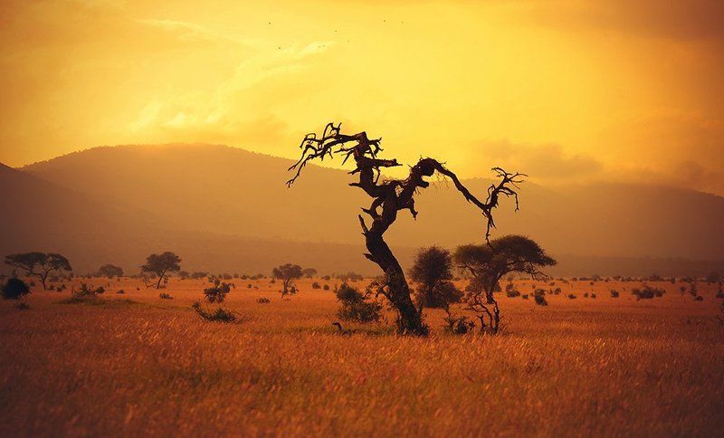 Taita Hills фото превью