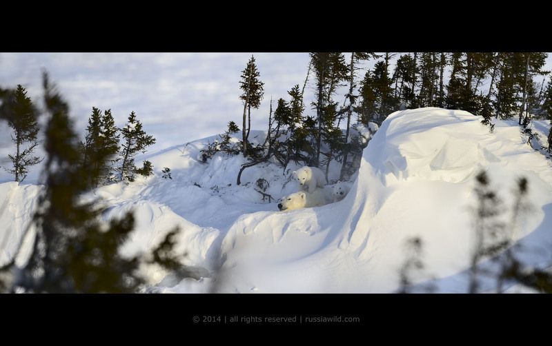 На мягкой подушке фото превью