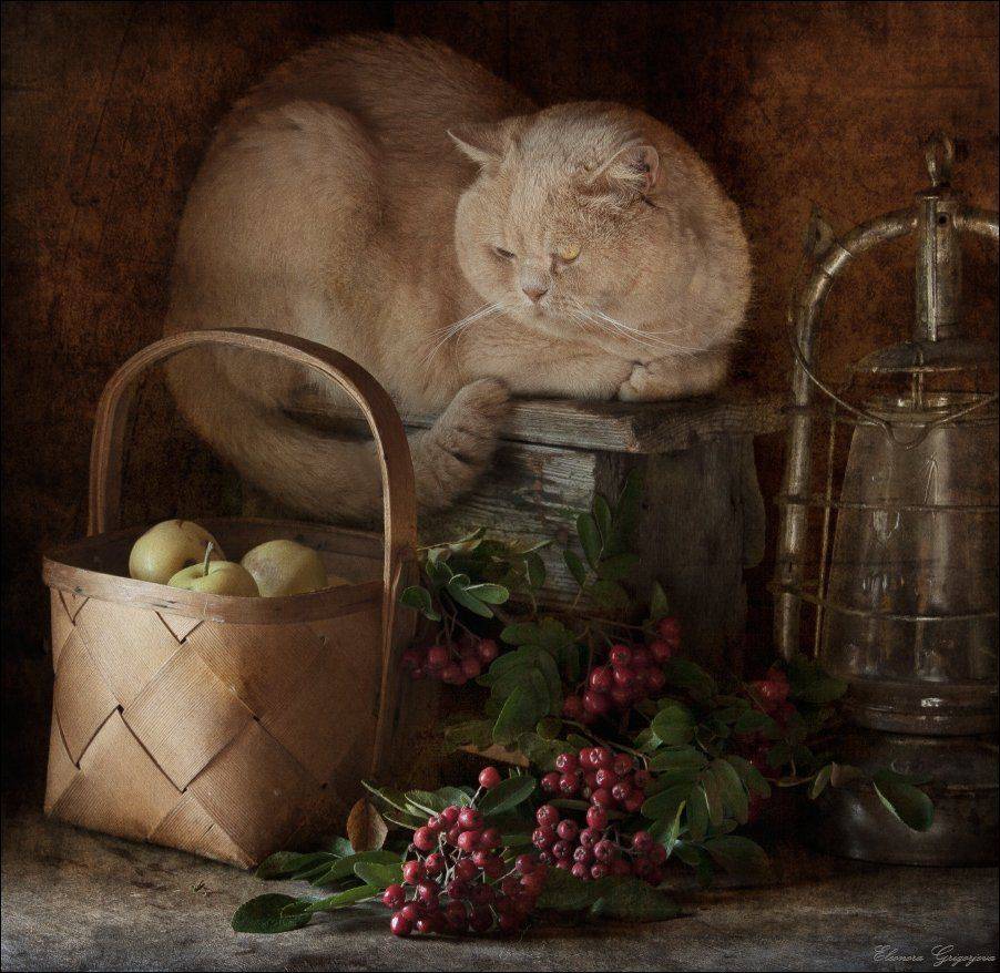 , Eleonora Grigorjeva