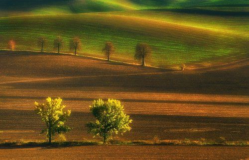 Moravian Earth Colors