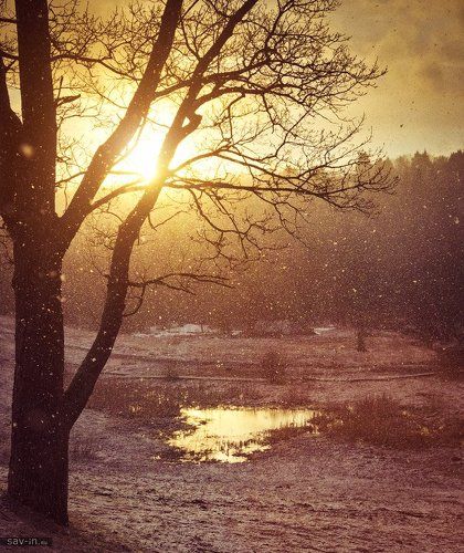 Солнце и снег. 31 марта 2014