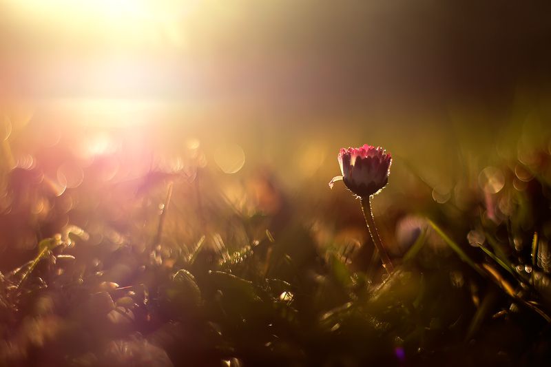 Рано утром фото превью