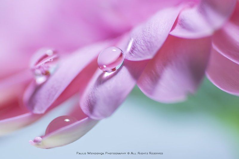 A beautiful little world фото превью