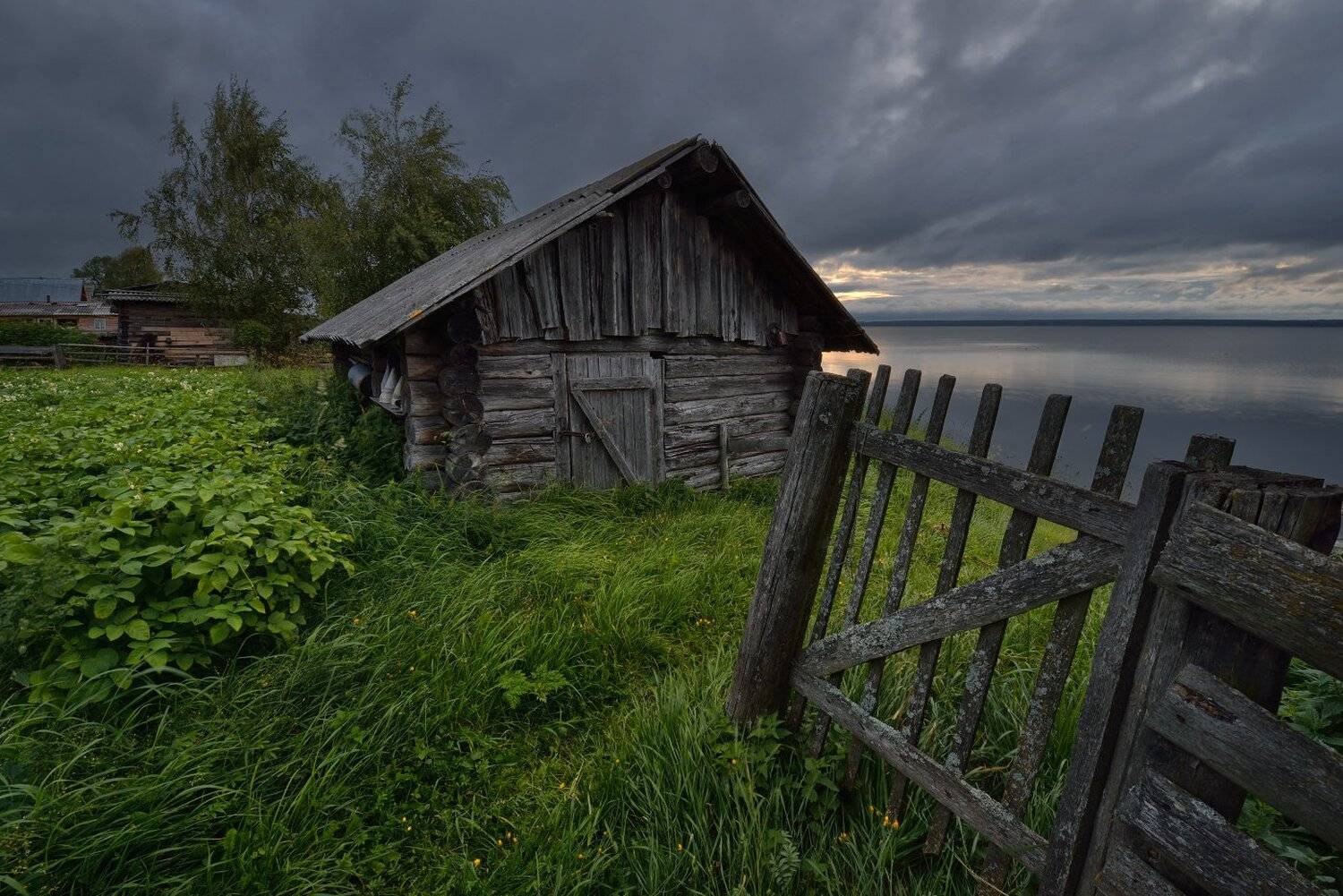 , Максим Евдокимов